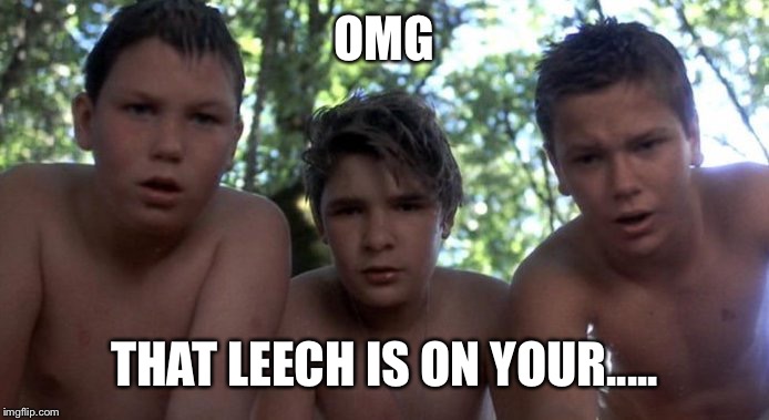 Stand by me leech scene | OMG THAT LEECH IS ON YOUR..... | image tagged in stand by me leech scene | made w/ Imgflip meme maker