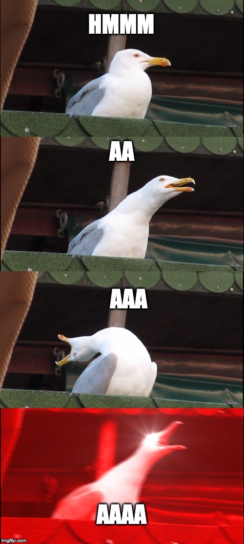 Inhaling Seagull | HMMM; AA; AAA; AAAA | image tagged in memes,inhaling seagull | made w/ Imgflip meme maker