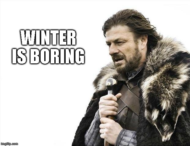 Bout time someone said it. | WINTER IS BORING | image tagged in memes,brace yourselves x is coming | made w/ Imgflip meme maker