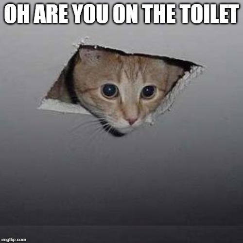 Ceiling Cat Meme | OH ARE YOU ON THE TOILET | image tagged in memes,ceiling cat | made w/ Imgflip meme maker