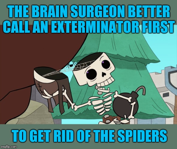 THE BRAIN SURGEON BETTER CALL AN EXTERMINATOR FIRST TO GET RID OF THE SPIDERS | made w/ Imgflip meme maker