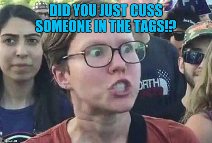 Triggered Liberal | DID YOU JUST CUSS SOMEONE IN THE TAGS!? | image tagged in triggered liberal | made w/ Imgflip meme maker