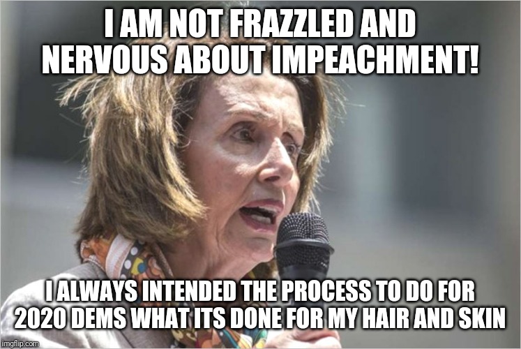 Pretty Birdy | I AM NOT FRAZZLED AND NERVOUS ABOUT IMPEACHMENT! I ALWAYS INTENDED THE PROCESS TO DO FOR 2020 DEMS WHAT ITS DONE FOR MY HAIR AND SKIN | image tagged in nancy pelosi,impeachment,stupid people,idiots,stupid liberals,special snowflake | made w/ Imgflip meme maker