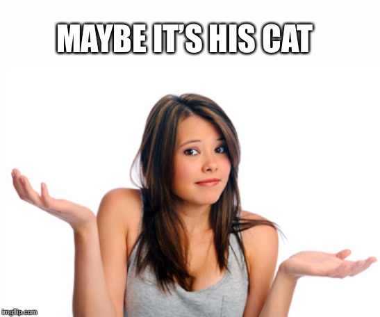 MAYBE IT’S HIS CAT | made w/ Imgflip meme maker