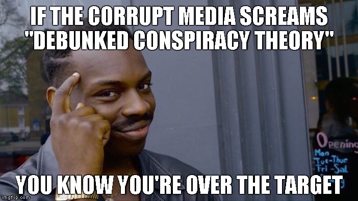 Roll Safe Think About It Meme | IF THE CORRUPT MEDIA SCREAMS
"DEBUNKED CONSPIRACY THEORY" YOU KNOW YOU'RE OVER THE TARGET | image tagged in memes,roll safe think about it | made w/ Imgflip meme maker