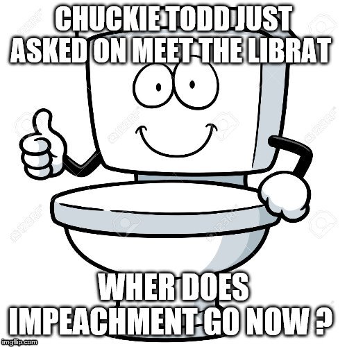 DEMs in the Toilet | image tagged in you are fake news | made w/ Imgflip meme maker