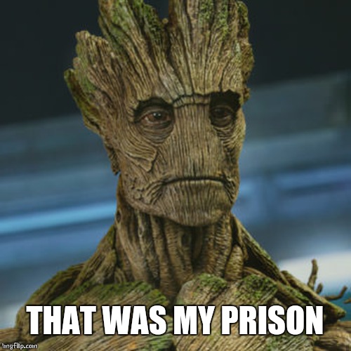 I am Groot | THAT WAS MY PRISON | image tagged in i am groot | made w/ Imgflip meme maker