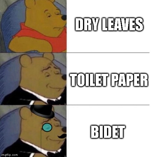 Bathroom humor | DRY LEAVES; TOILET PAPER; BIDET | image tagged in tuxedo winnie the pooh,bathroom humor | made w/ Imgflip meme maker