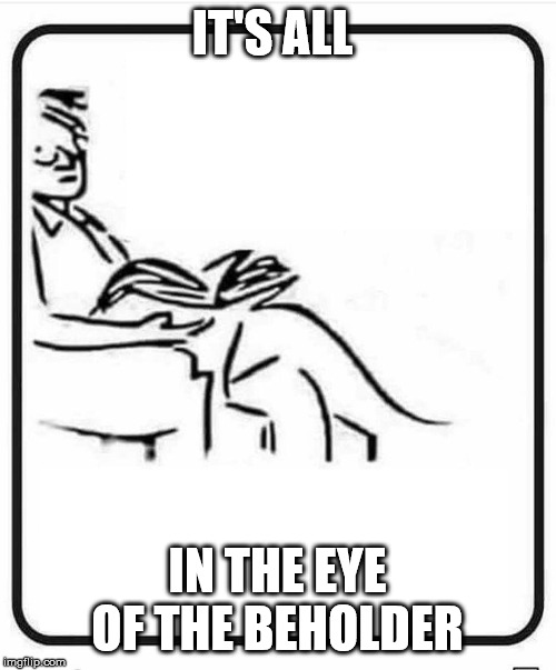 Reading a Book | IT'S ALL IN THE EYE OF THE BEHOLDER | image tagged in reading a book | made w/ Imgflip meme maker