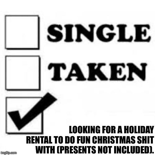 Single Taken Priorities | LOOKING FOR A HOLIDAY RENTAL TO DO FUN CHRISTMAS SHIT WITH (PRESENTS NOT INCLUDED). | image tagged in single taken priorities | made w/ Imgflip meme maker