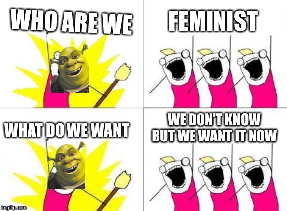What Do We Want |  WHO ARE WE; FEMINIST; WE DON’T KNOW BUT WE WANT IT NOW; WHAT DO WE WANT | image tagged in memes,what do we want | made w/ Imgflip meme maker