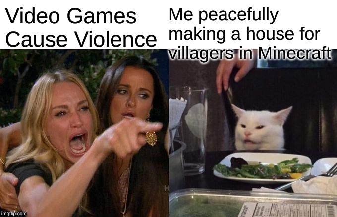 Woman Yelling At Cat | Me peacefully making a house for villagers in Minecraft; Video Games Cause Violence | image tagged in memes,woman yelling at cat | made w/ Imgflip meme maker