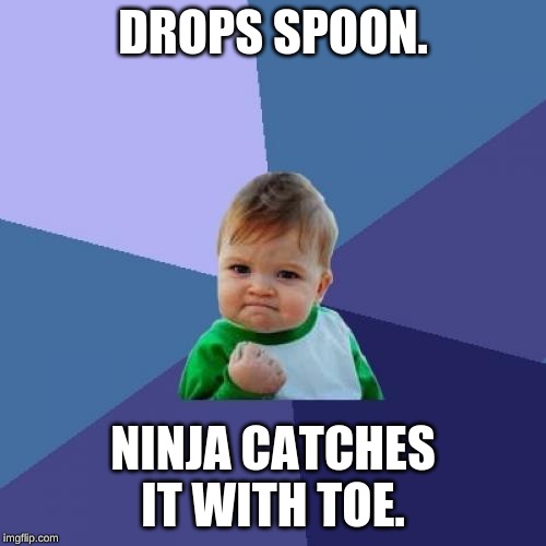 Success Kid | DROPS SPOON. NINJA CATCHES IT WITH TOE. | image tagged in memes,success kid | made w/ Imgflip meme maker