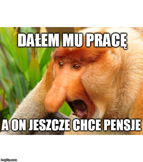 Nosacz | DAŁEM MU PRACĘ; A ON JESZCZE CHCE PENSJE | image tagged in nosacz | made w/ Imgflip meme maker