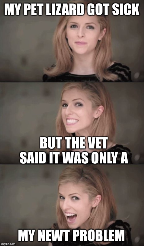 Bad Pun Anna Kendrick | MY PET LIZARD GOT SICK; BUT THE VET SAID IT WAS ONLY A; MY NEWT PROBLEM | image tagged in memes,bad pun anna kendrick,terrible puns,funny | made w/ Imgflip meme maker