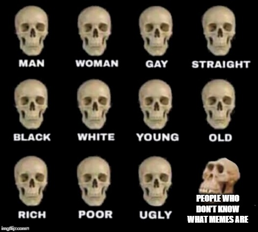 idiot skull | PEOPLE WHO DON'T KNOW WHAT MEMES ARE | image tagged in idiot skull | made w/ Imgflip meme maker