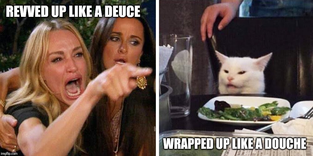Smudge the cat | REVVED UP LIKE A DEUCE; WRAPPED UP LIKE A DOUCHE | image tagged in smudge the cat | made w/ Imgflip meme maker