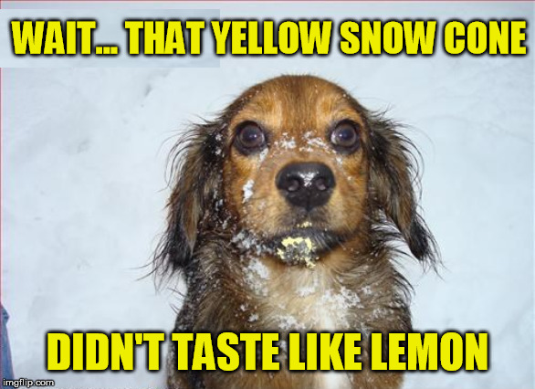 WAIT... THAT YELLOW SNOW CONE DIDN'T TASTE LIKE LEMON | made w/ Imgflip meme maker