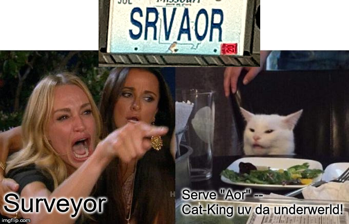 SRVAOR | Surveyor; Serve "Aor" -- Cat-King uv da underwerld! | image tagged in memes,woman yelling at cat | made w/ Imgflip meme maker