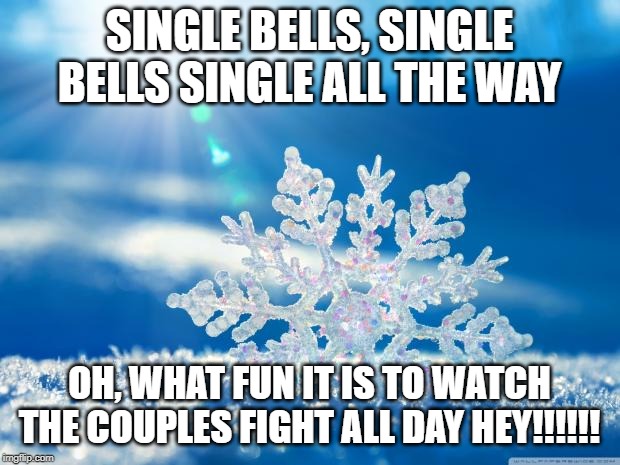 snowflake | SINGLE BELLS, SINGLE BELLS SINGLE ALL THE WAY; OH, WHAT FUN IT IS TO WATCH THE COUPLES FIGHT ALL DAY HEY!!!!!! | image tagged in snowflake | made w/ Imgflip meme maker