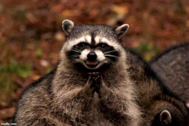 Evil Plotting Raccoon Meme | image tagged in memes,evil plotting raccoon | made w/ Imgflip meme maker