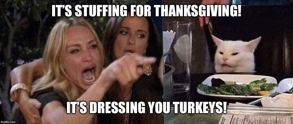 woman yelling at cat | IT’S STUFFING FOR THANKSGIVING! IT’S DRESSING YOU TURKEYS! | image tagged in woman yelling at cat | made w/ Imgflip meme maker