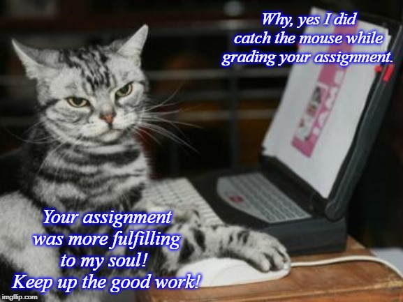 Cat computer | Why, yes I did catch the mouse while grading your assignment. Your assignment was more fulfilling to my soul!  Keep up the good work! | image tagged in cat computer | made w/ Imgflip meme maker