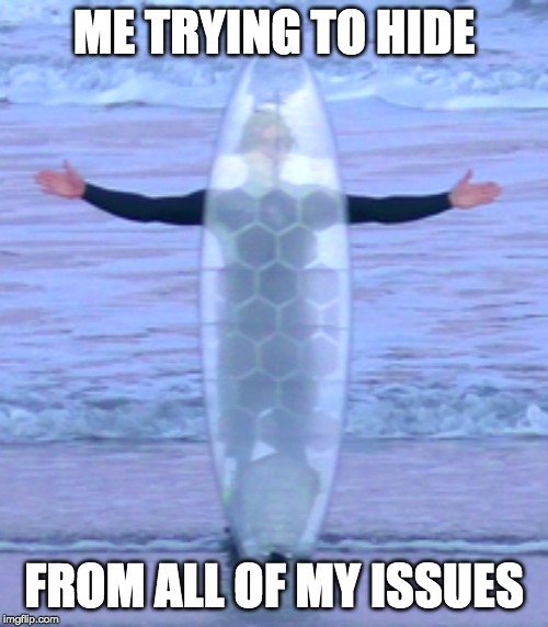 hiding from my problems | ME TRYING TO HIDE; FROM ALL OF MY ISSUES | image tagged in hiding from my problems | made w/ Imgflip meme maker