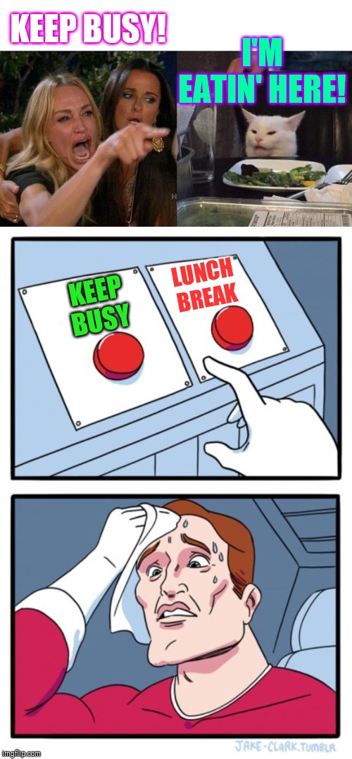 KEEP BUSY! LUNCH BREAK I'M EATIN' HERE! KEEP BUSY | image tagged in memes,two buttons,woman yelling at cat | made w/ Imgflip meme maker