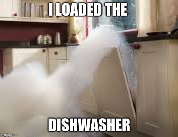 I LOADED THE; DISHWASHER | image tagged in memes | made w/ Imgflip meme maker