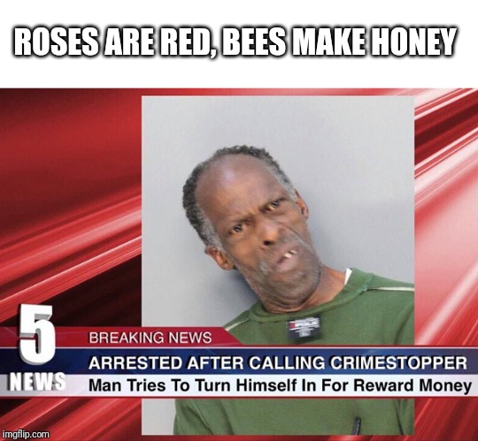 ROSES ARE RED, BEES MAKE HONEY | image tagged in roses are red | made w/ Imgflip meme maker