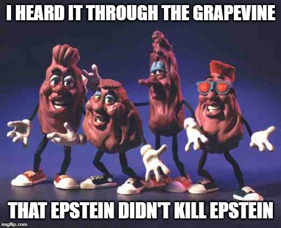 California Raisins | I HEARD IT THROUGH THE GRAPEVINE; THAT EPSTEIN DIDN'T KILL EPSTEIN | image tagged in california raisins,jeffrey epstein | made w/ Imgflip meme maker