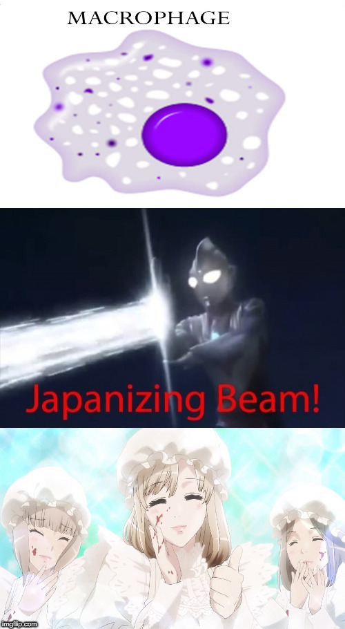 The Japanizing Beam is still incredible | image tagged in japanizing beam,memes,cells at work,science,anime | made w/ Imgflip meme maker