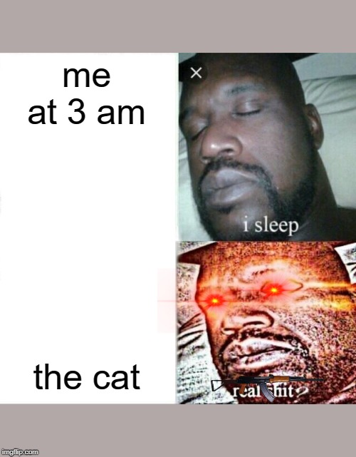 Sleeping Shaq | me at 3 am; the cat | image tagged in memes,sleeping shaq | made w/ Imgflip meme maker