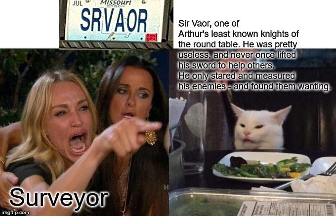 SRVAOR-2 | Sir Vaor, one of Arthur's least known knights of the round table. He was pretty useless, and never once lifted his sword to help others. He only stared and measured his enemies - and found them wanting. Surveyor | image tagged in memes,woman yelling at cat | made w/ Imgflip meme maker