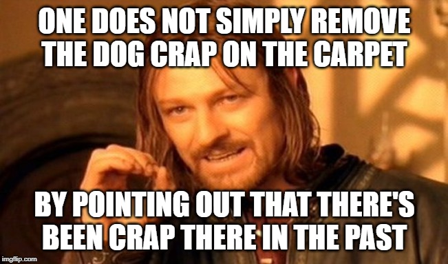 One Does Not Simply | ONE DOES NOT SIMPLY REMOVE THE DOG CRAP ON THE CARPET; BY POINTING OUT THAT THERE'S BEEN CRAP THERE IN THE PAST | image tagged in memes,one does not simply | made w/ Imgflip meme maker