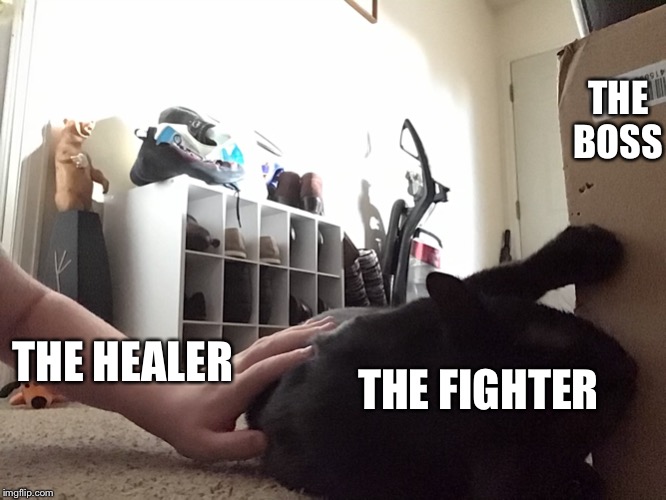 The Fighter and the Healer | THE BOSS; THE HEALER; THE FIGHTER | image tagged in the fighter and the healer | made w/ Imgflip meme maker