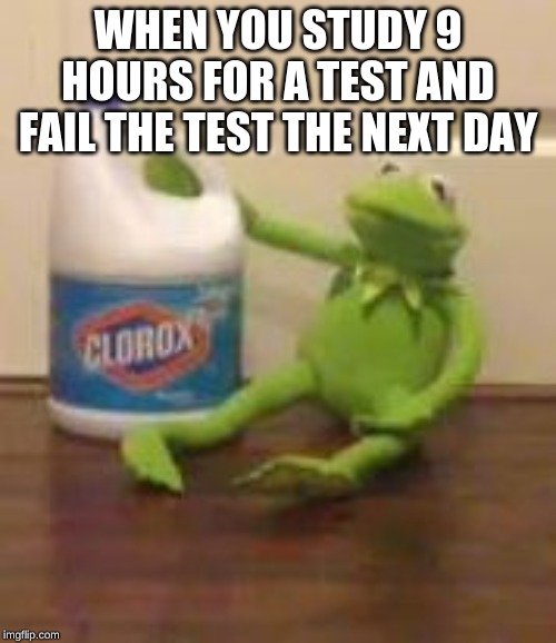 kermit bleach | WHEN YOU STUDY 9 HOURS FOR A TEST AND FAIL THE TEST THE NEXT DAY | image tagged in kermit bleach | made w/ Imgflip meme maker