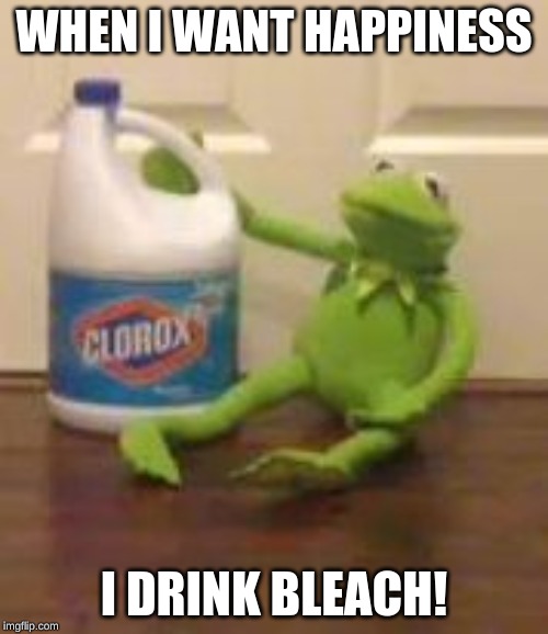 kermit bleach | WHEN I WANT HAPPINESS; I DRINK BLEACH! | image tagged in kermit bleach | made w/ Imgflip meme maker