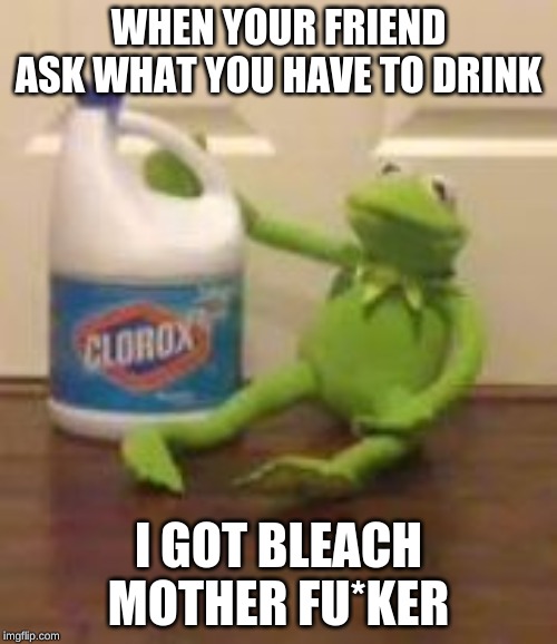 kermit bleach | WHEN YOUR FRIEND ASK WHAT YOU HAVE TO DRINK; I GOT BLEACH MOTHER FU*KER | image tagged in kermit bleach | made w/ Imgflip meme maker