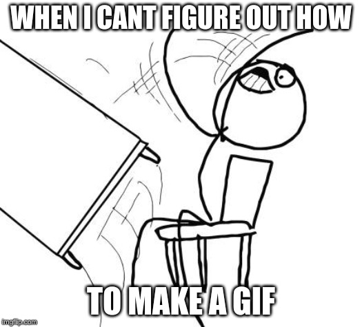 Table Flip Guy | WHEN I CANT FIGURE OUT HOW; TO MAKE A GIF | image tagged in memes,table flip guy | made w/ Imgflip meme maker