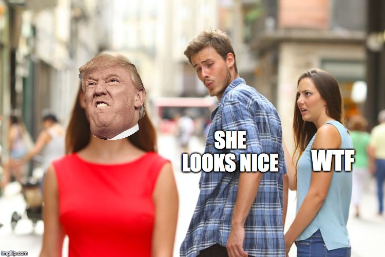 Distracted Boyfriend | SHE LOOKS NICE; WTF | image tagged in memes,distracted boyfriend | made w/ Imgflip meme maker