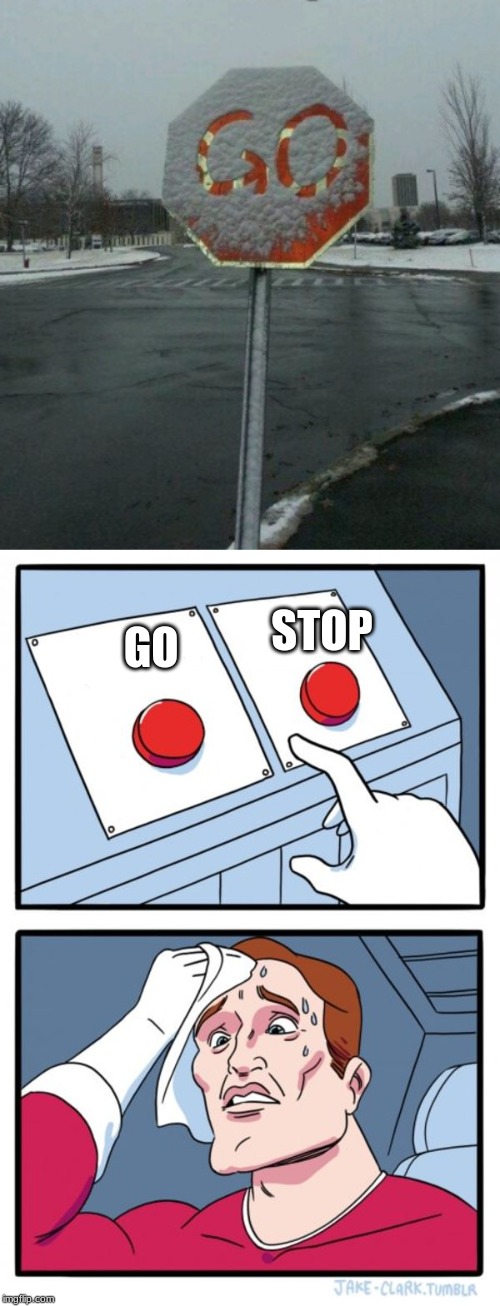 STOP; GO | image tagged in memes,two buttons | made w/ Imgflip meme maker