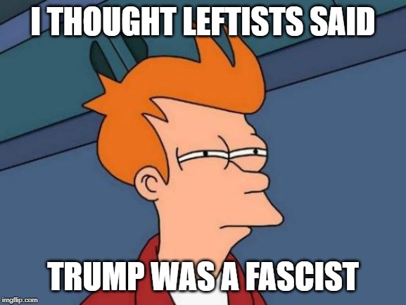 Futurama Fry Meme | I THOUGHT LEFTISTS SAID TRUMP WAS A FASCIST | image tagged in memes,futurama fry | made w/ Imgflip meme maker