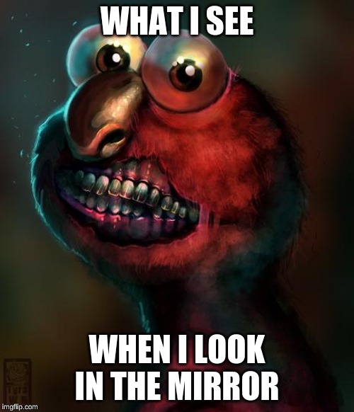 Scary Elmo | WHAT I SEE; WHEN I LOOK IN THE MIRROR | image tagged in scary elmo | made w/ Imgflip meme maker