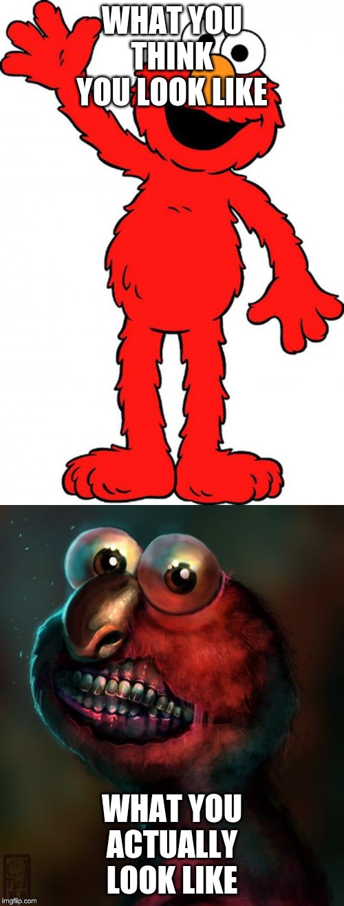 WHAT YOU THINK YOU LOOK LIKE; WHAT YOU ACTUALLY LOOK LIKE | image tagged in elmo,scary elmo | made w/ Imgflip meme maker