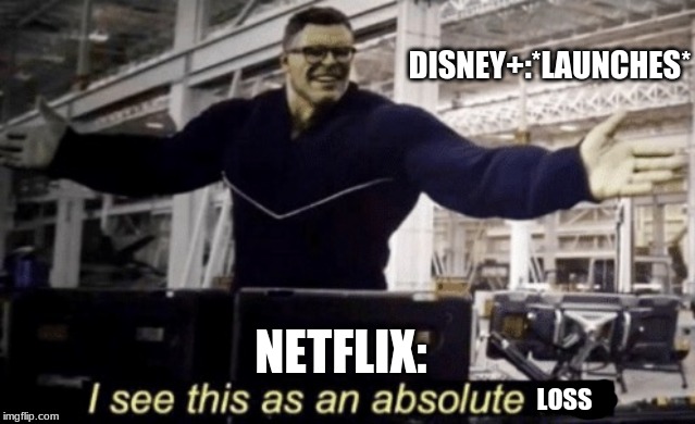 I See This as an Absolute Win! | DISNEY+:*LAUNCHES*; NETFLIX:; LOSS | image tagged in i see this as an absolute win | made w/ Imgflip meme maker