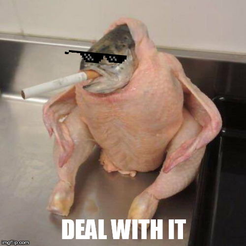 DEAL WITH IT | made w/ Imgflip meme maker