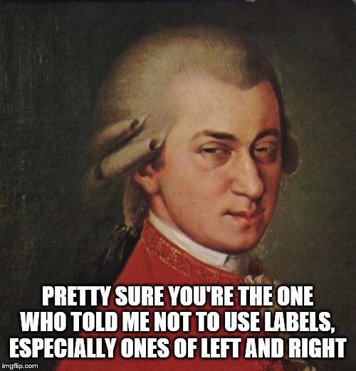 Mozart Not Sure Meme | PRETTY SURE YOU'RE THE ONE WHO TOLD ME NOT TO USE LABELS, ESPECIALLY ONES OF LEFT AND RIGHT | image tagged in memes,mozart not sure | made w/ Imgflip meme maker