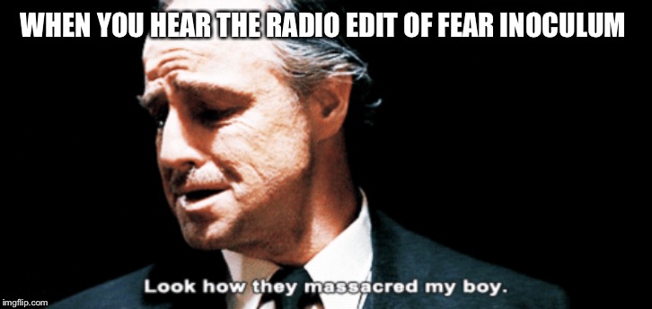 Look how they massacred my boy | WHEN YOU HEAR THE RADIO EDIT OF FEAR INOCULUM | image tagged in look how they massacred my boy | made w/ Imgflip meme maker